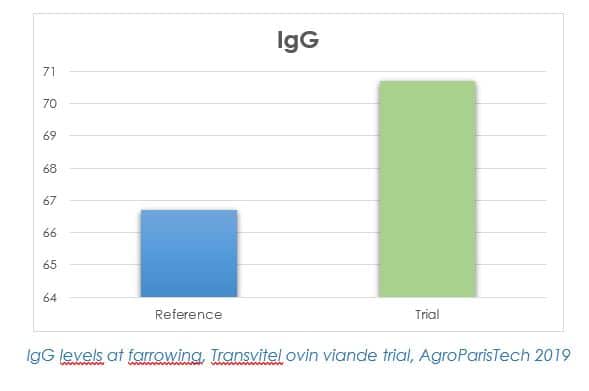 IDENA - IgG levels at farrowing TRANSVITEL