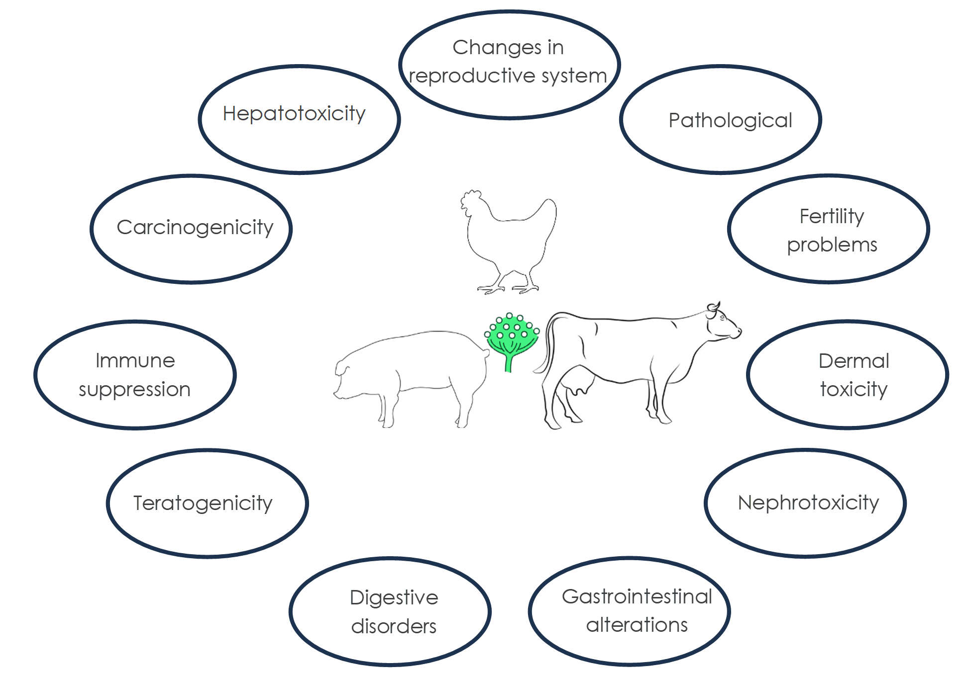 IDENA -  Schéma récapitulatif des effets négatives des mycotoxines chez toutes les espèces.