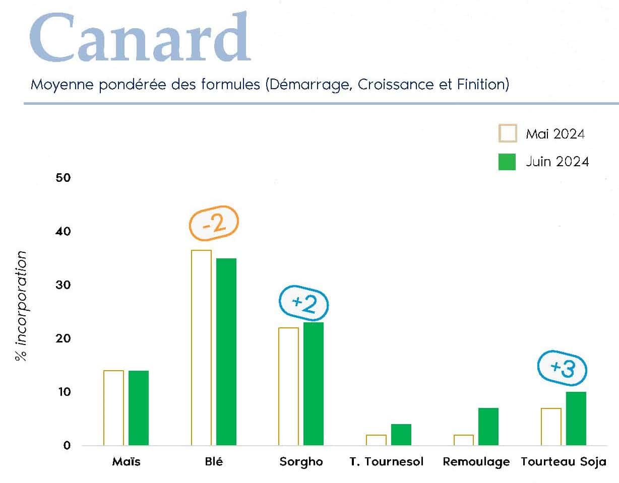 FORMUL'INFO Juin24_vf_Page_04_canard