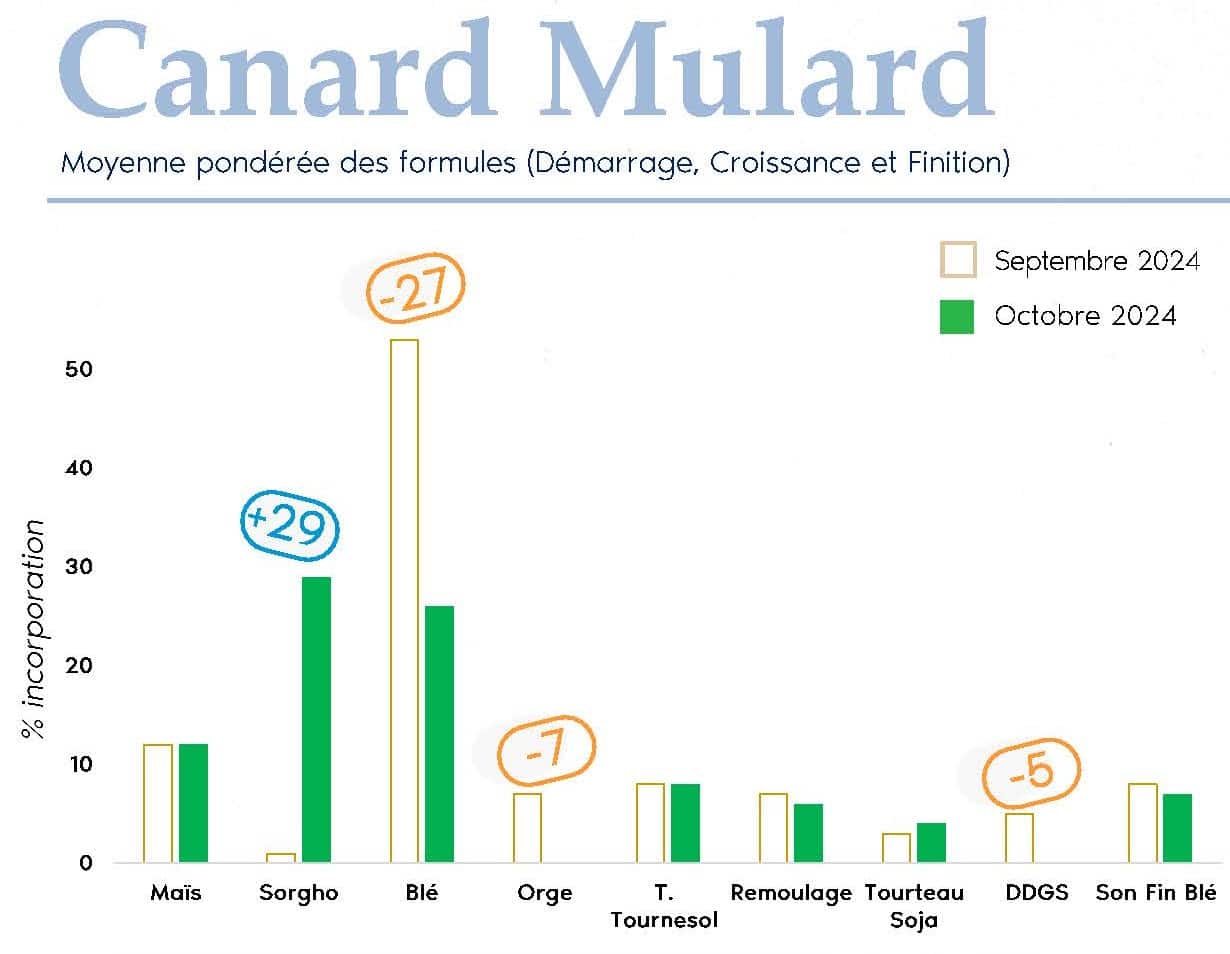 FORMUL'INFO Octobre24_VF_Page_4_canard