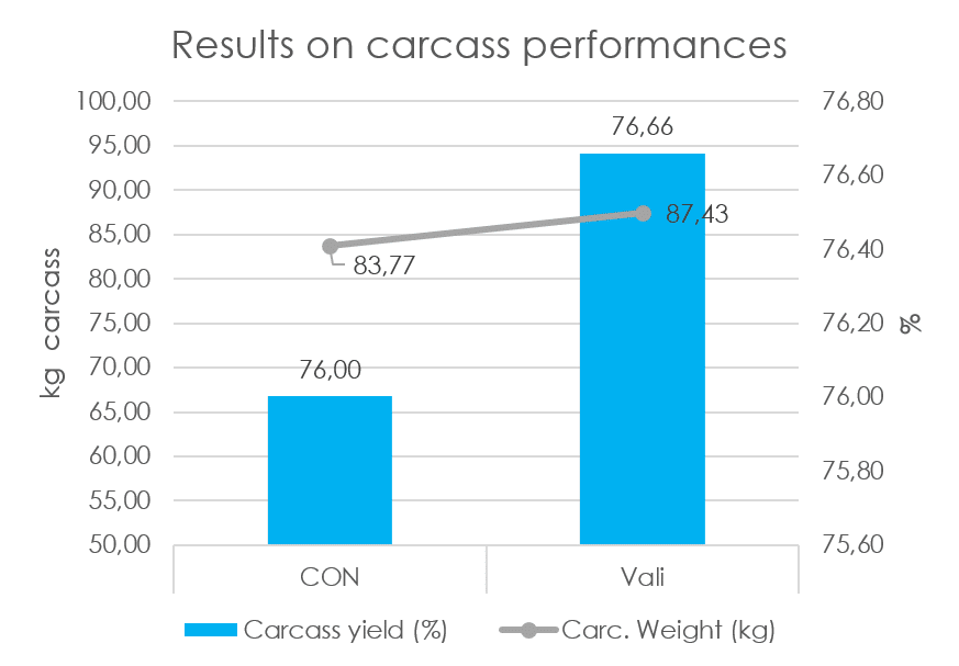 IDENA - results on carcass performances