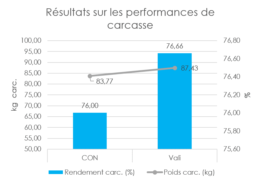 Graphique 1