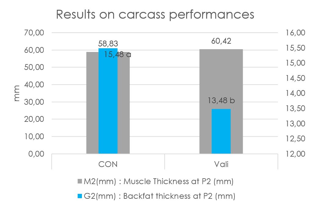 IDENA - results on carcass performances