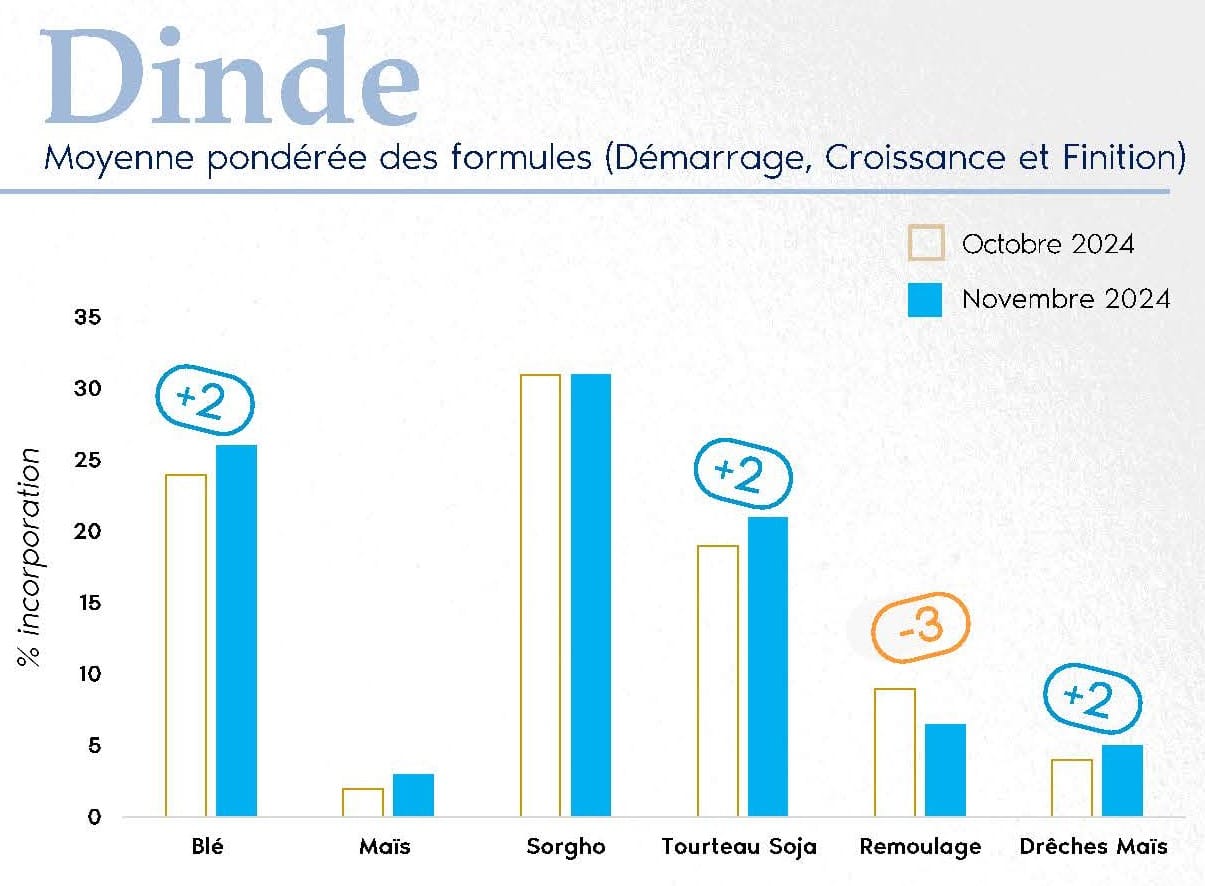 IDENA - FORMUL'INFO Novembre24_Page_05