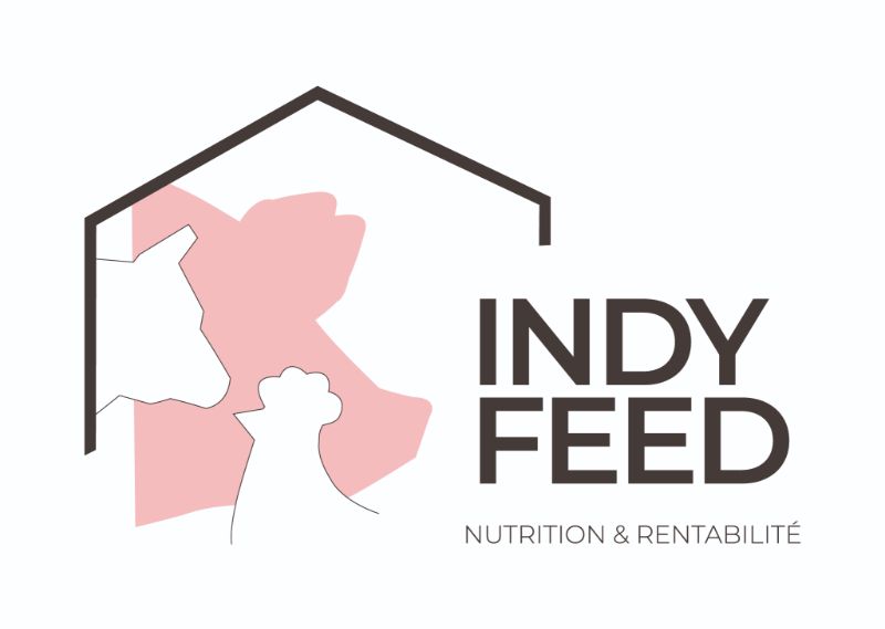 indy-feed