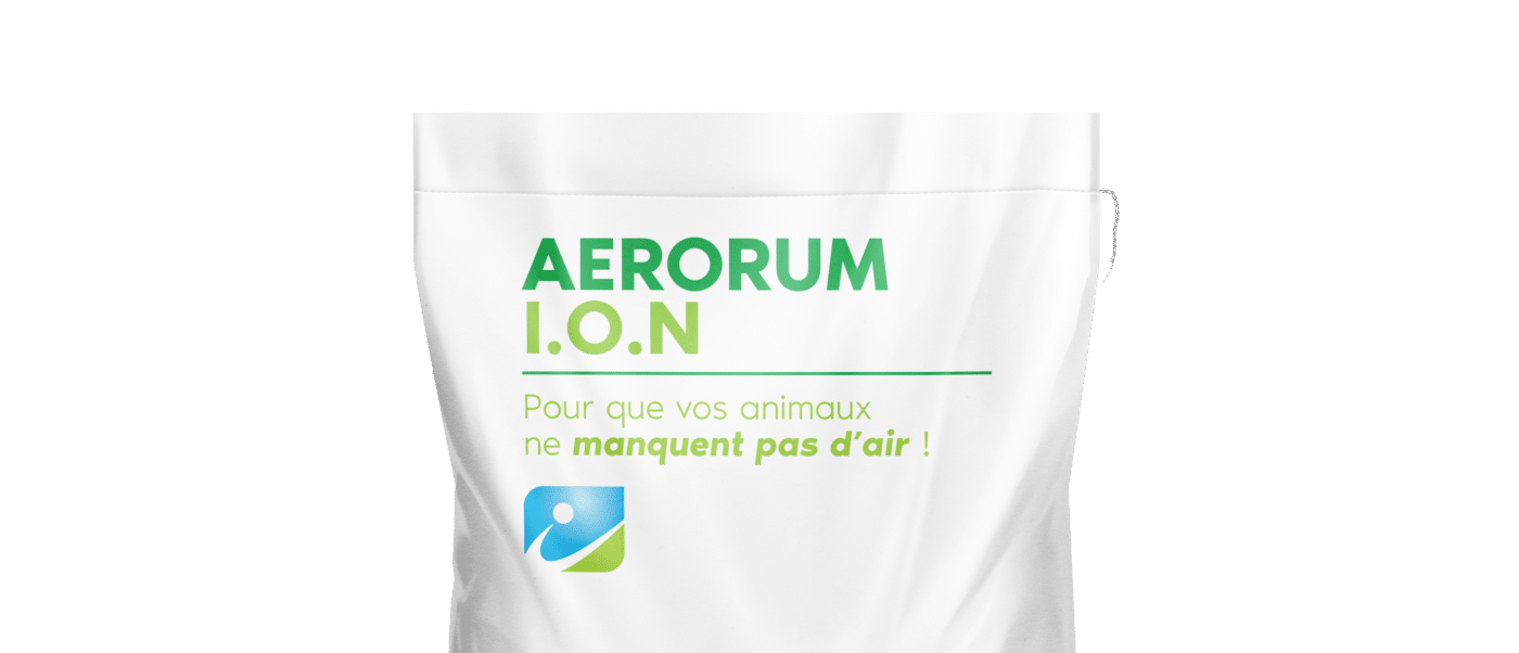 MOCKUP_SAC_AERORUM ION