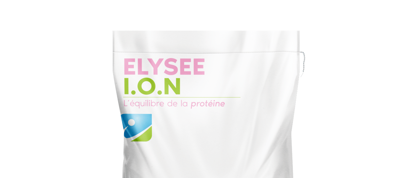 IDENA_SAC_ELYSEE ION