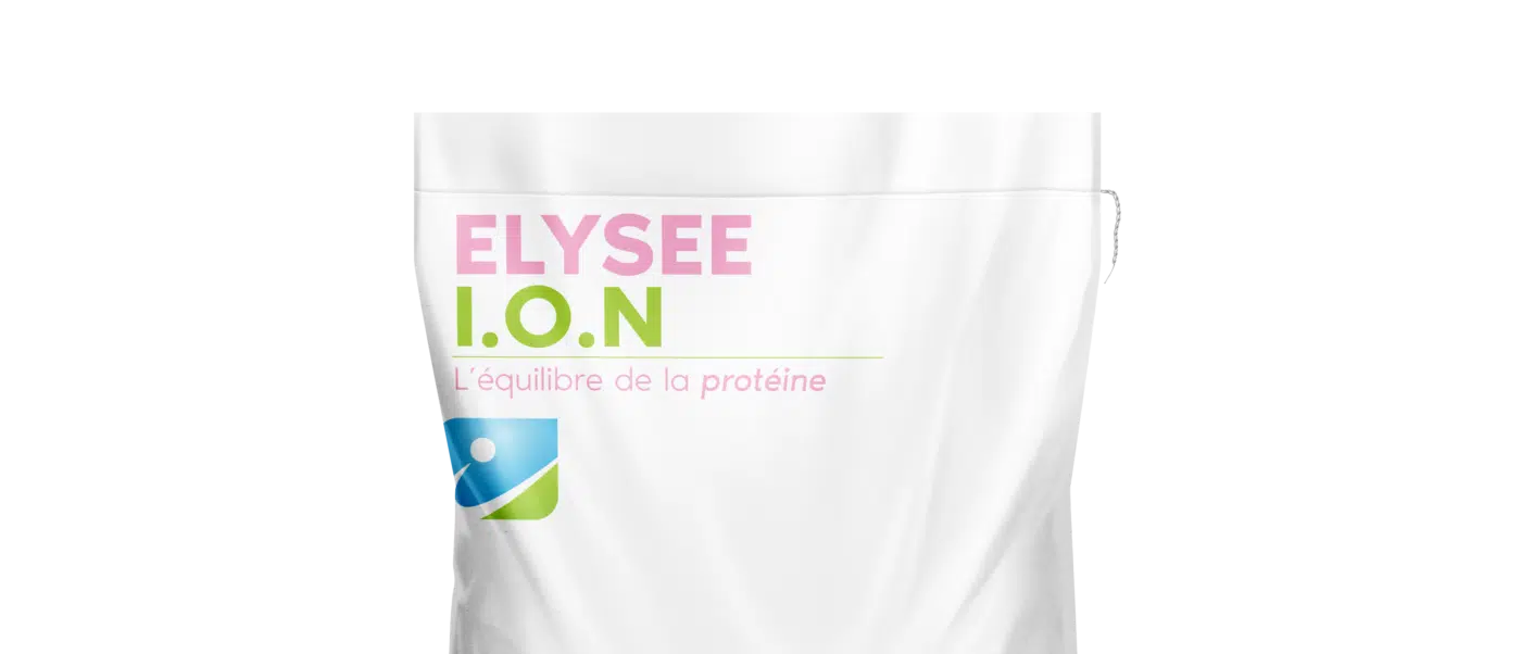 IDENA_SAC_ELYSEE ION