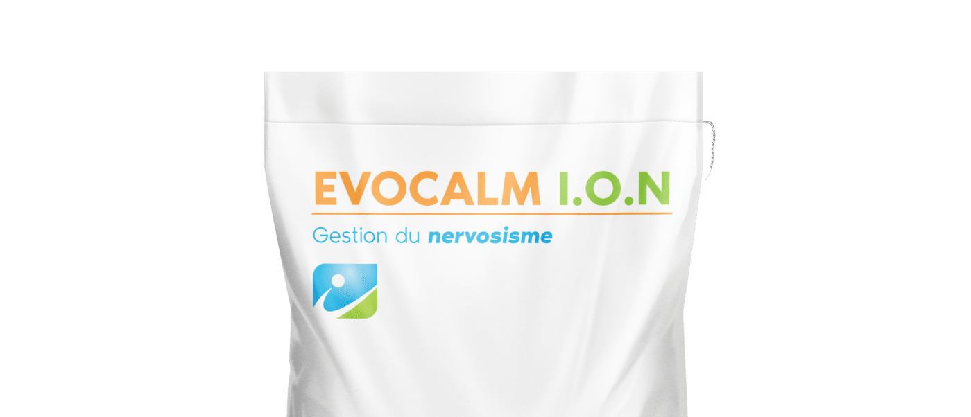 MOCKUP_SAC_EVOCALM ION