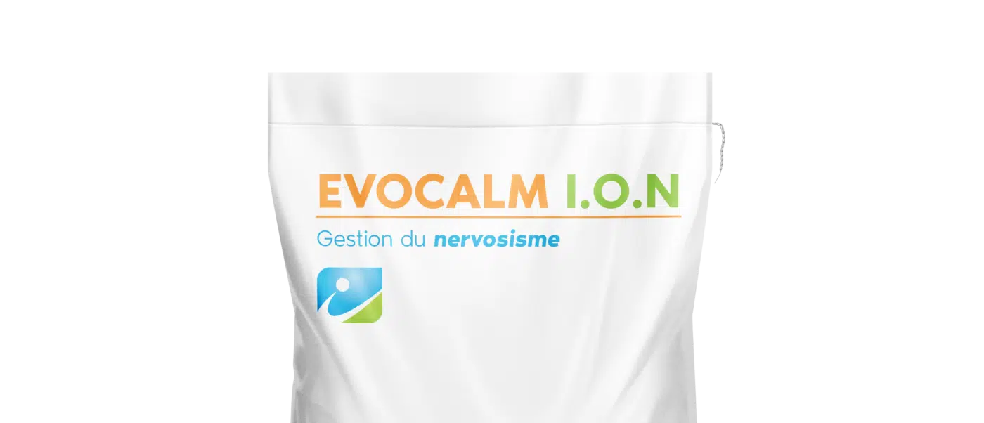 MOCKUP_SAC_EVOCALM ION