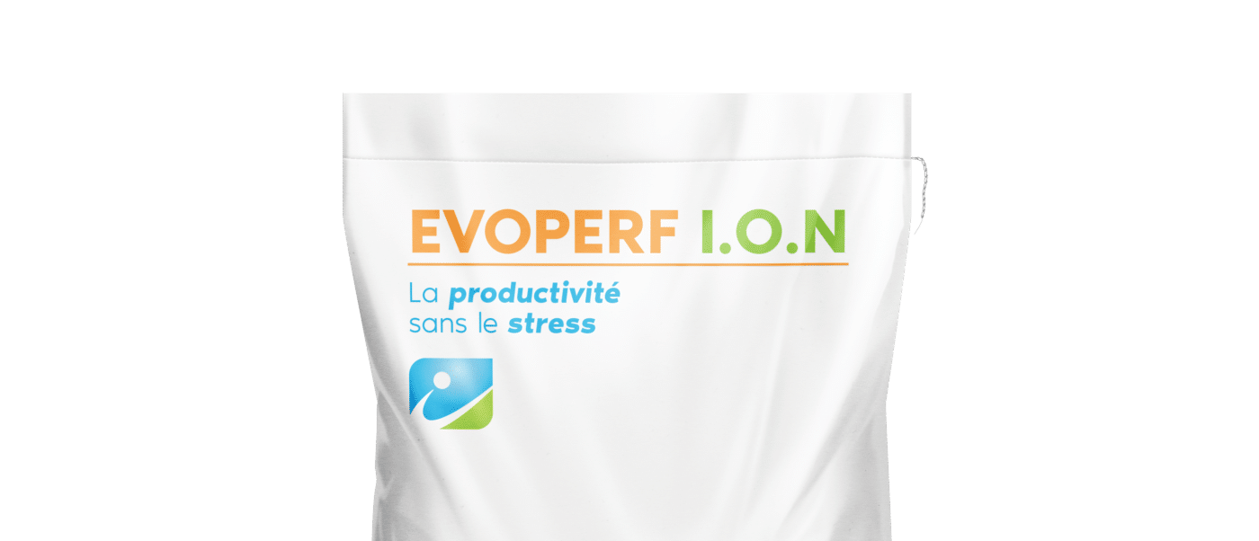 MOCKUP_SAC_EVOPERF ION