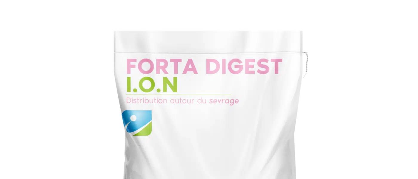 IDENA_SAC_FORTA_DIGEST ION