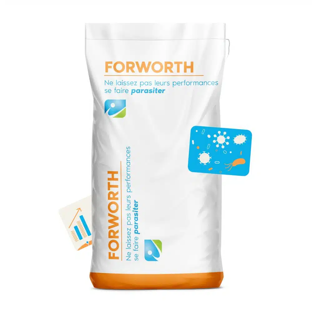 MOCKUP_SAC_FORWORTH