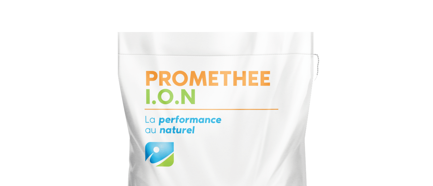 MOCKUP_SAC_PROMETHEE ION