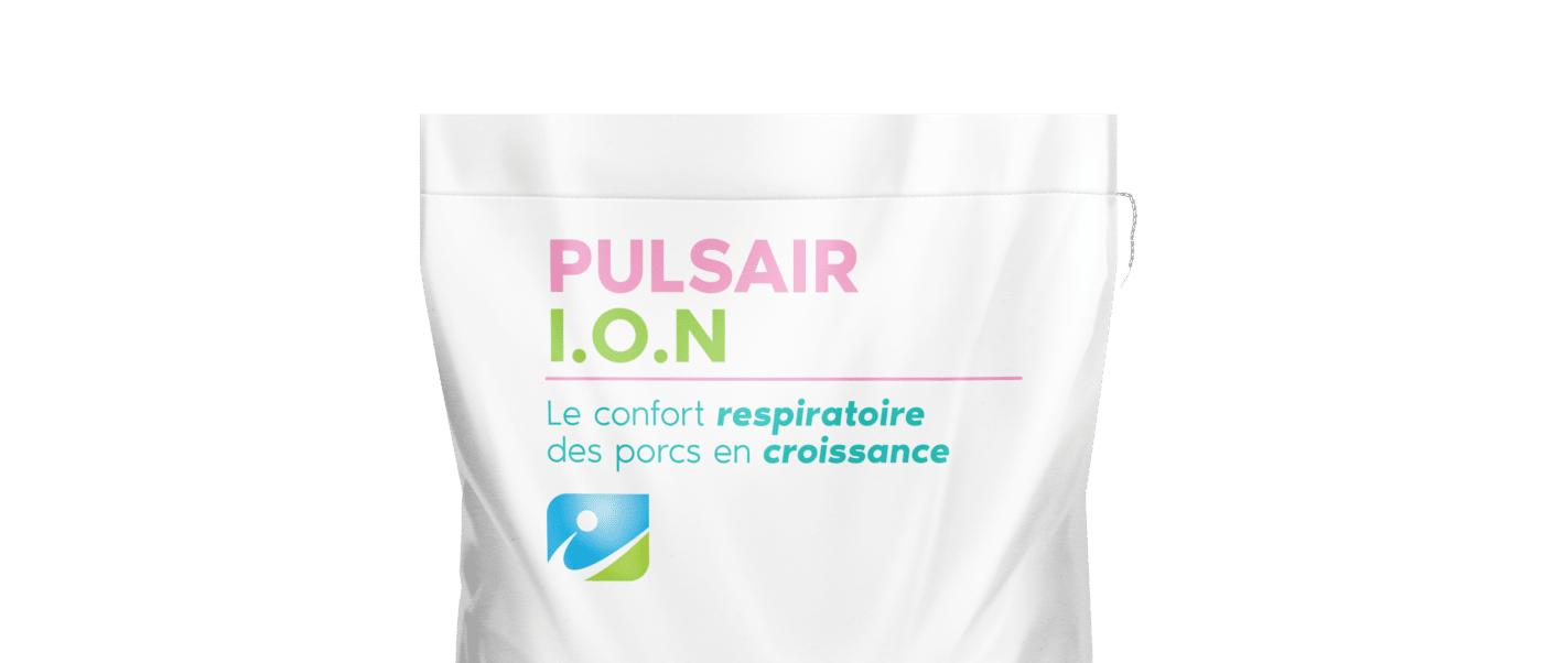 MOCKUP_SAC_PULSAIR ION