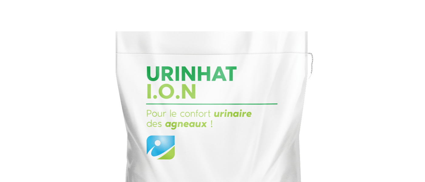 MOCKUP_SAC_URINHAT ION