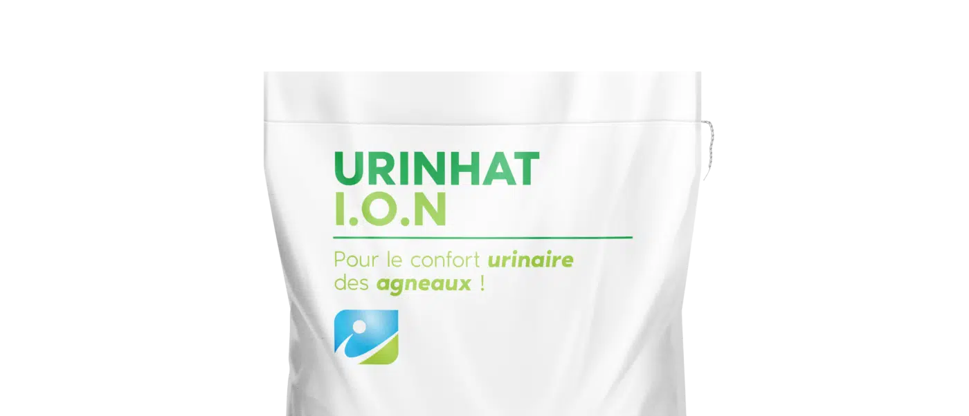 MOCKUP_SAC_URINHAT ION