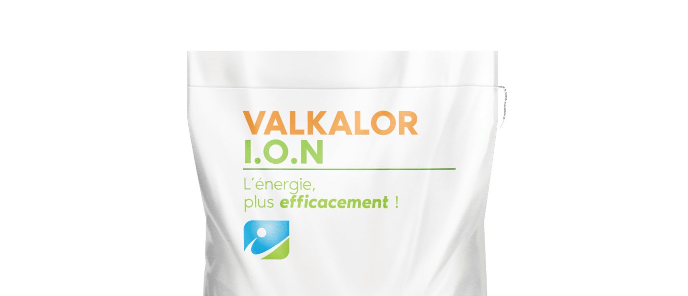 MOCKUP_SAC_VALKALOR ION