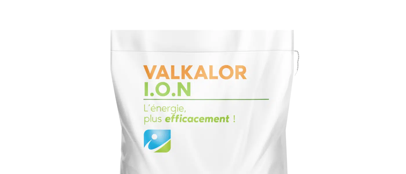 MOCKUP_SAC_VALKALOR ION