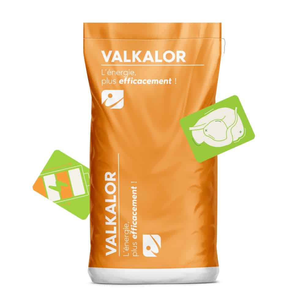 MOCKUP_SAC_VALKALOR