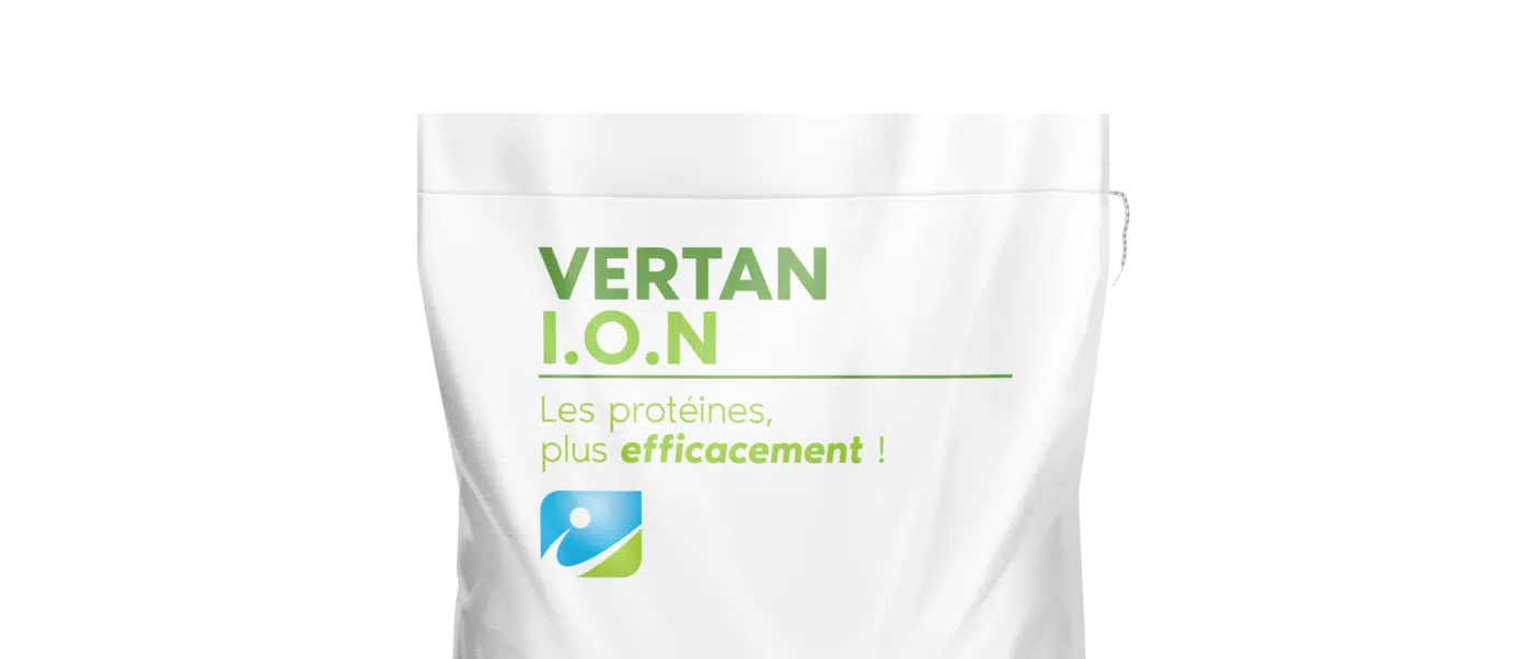 MOCKUP_SAC_VERTAN ION