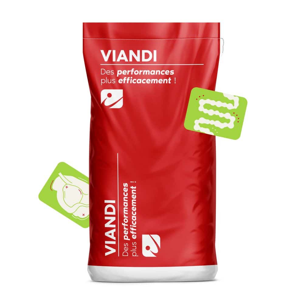 MOCKUP_SAC_VIANDI